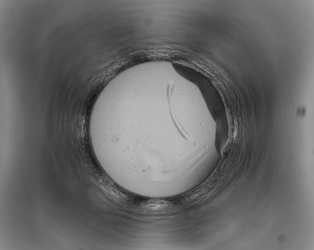 X0000096440514200802211214