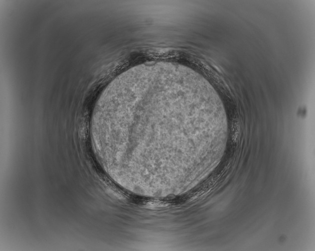 X0000096440515200802211214