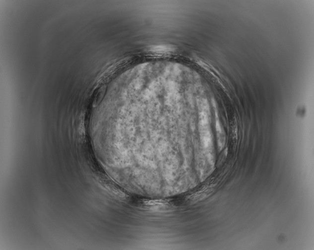 X0000096440516200802211214