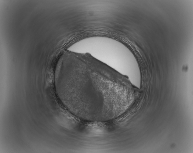 X0000096440517200802211214