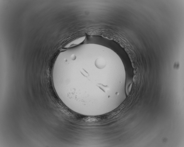 X0000096440518200802211214