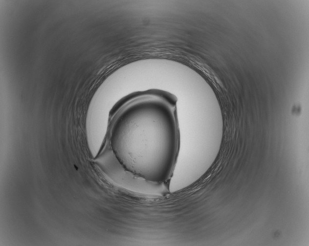 X0000096440521200802211214