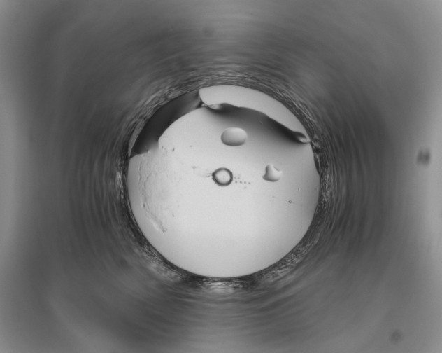 X0000096440522200802211214