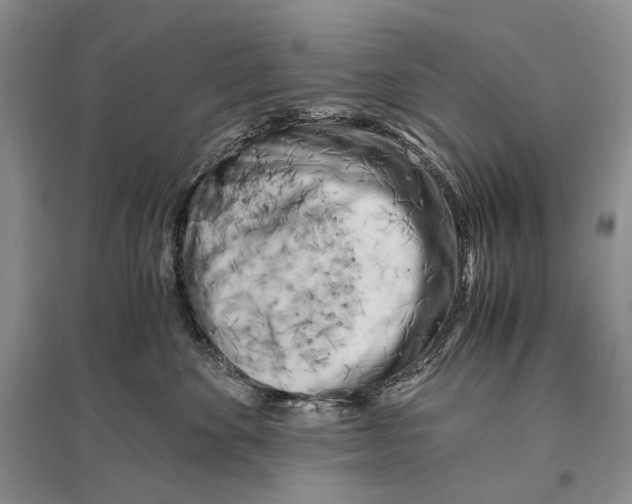 X0000096440524200802211214
