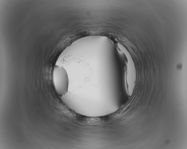 X0000096440525200802211214