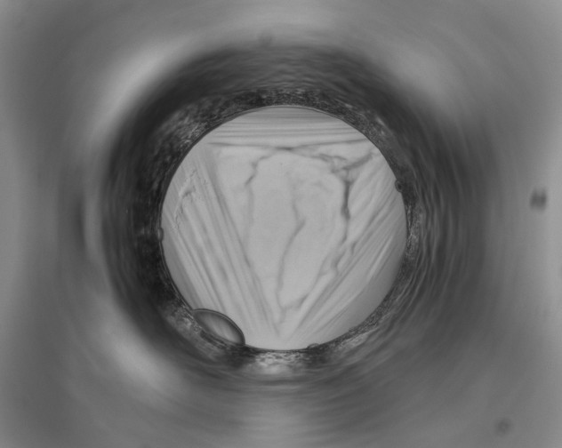 X0000096440526200802211213