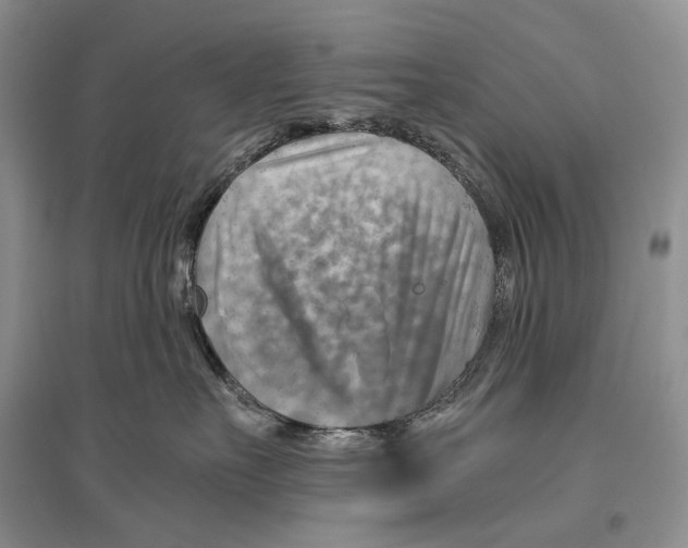 X0000096440527200802211213