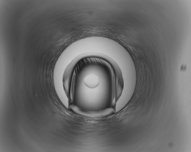 X0000096440528200802211213