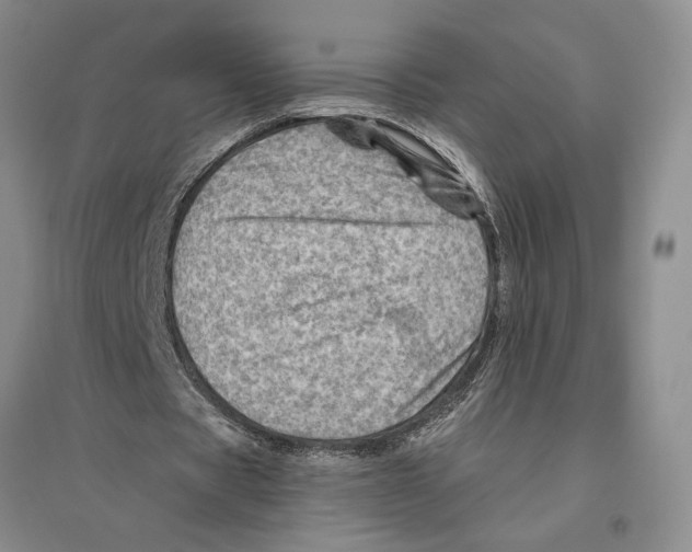 X0000096440529200802211213