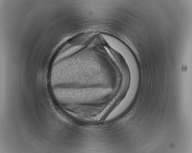 X0000096440530200802211213