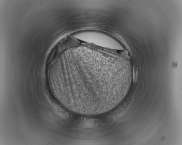 X0000096440531200802211213