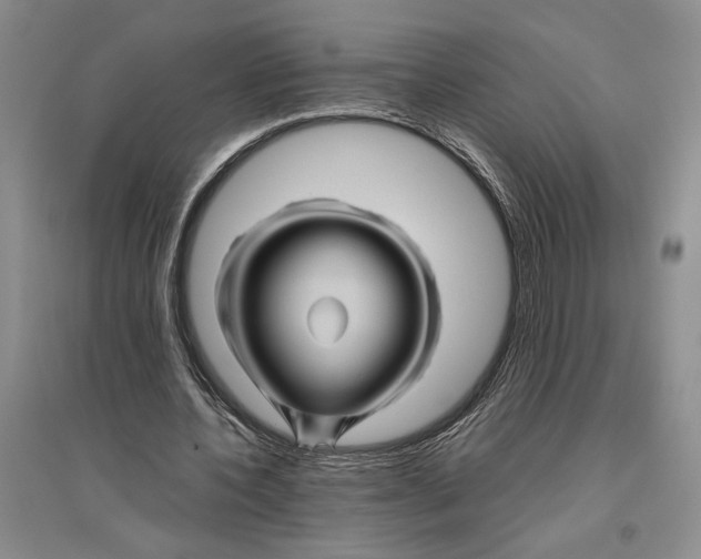 X0000096440532200802211213