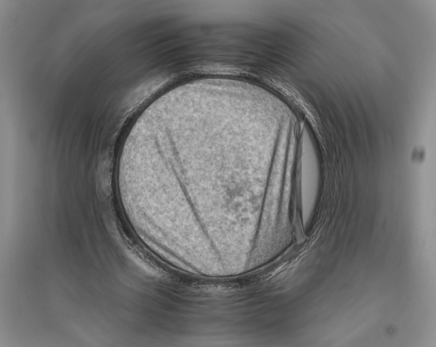 X0000096440533200802211213