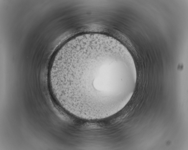 X0000096440534200802211213