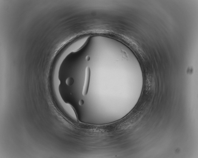 X0000096440535200802211213