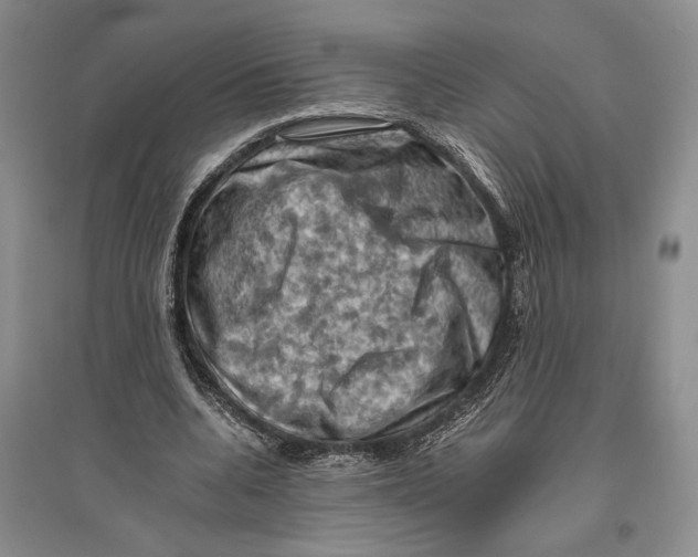 X0000096440536200802211213