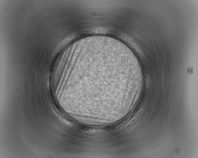 X0000096440537200802211213