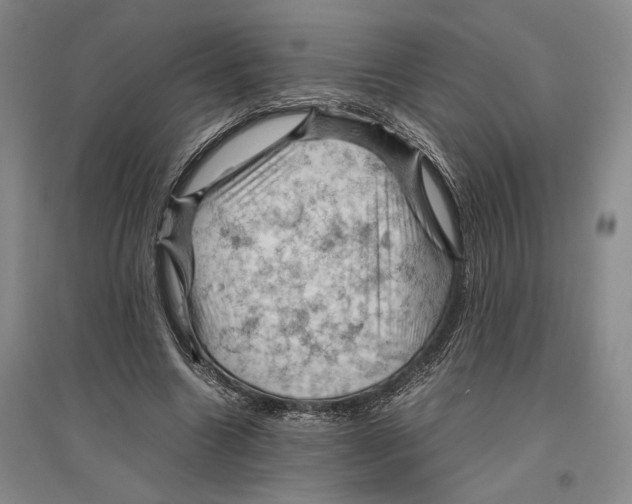 X0000096440538200802211213