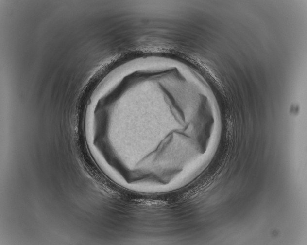 X0000096440539200802211213