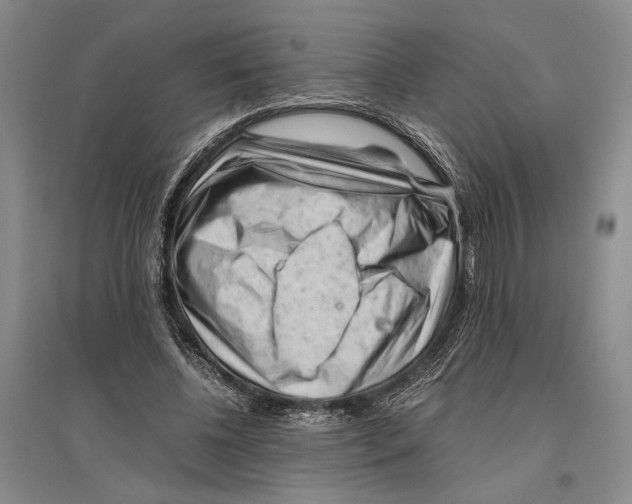 X0000096440540200802211213