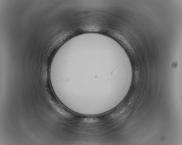 X0000096440541200802211213