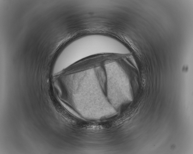 X0000096440543200802211213