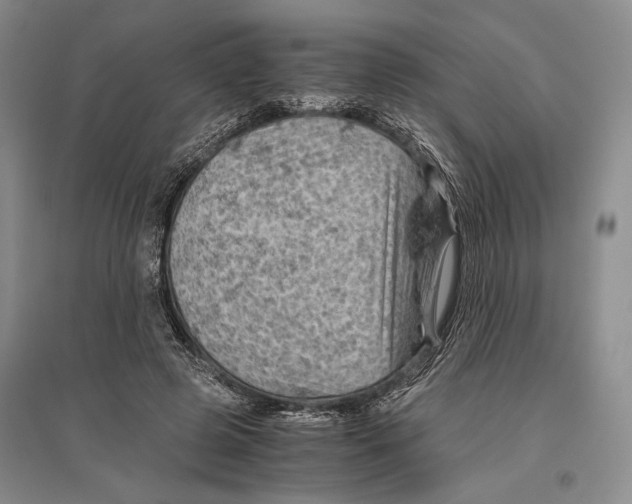 X0000096440545200802211213