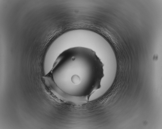 X0000096440546200802211213