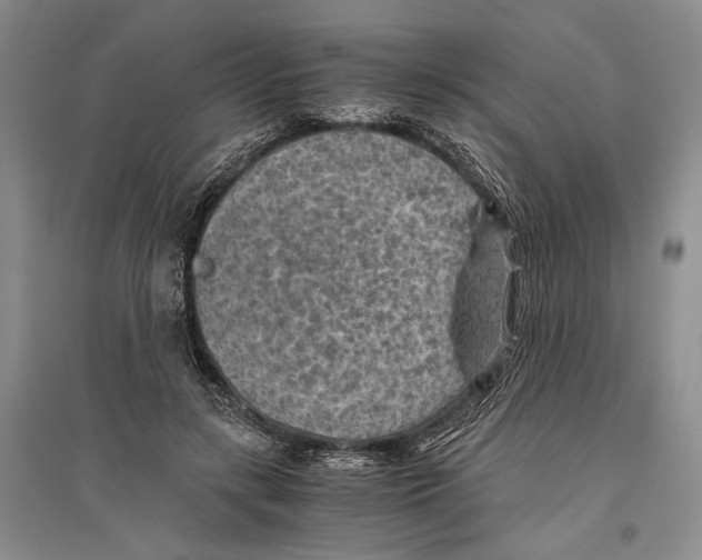 X0000096440547200802211213