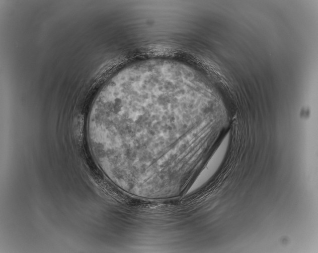 X0000096440550200802211213