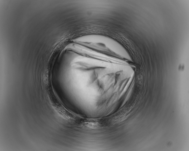 X0000096440552200802211213