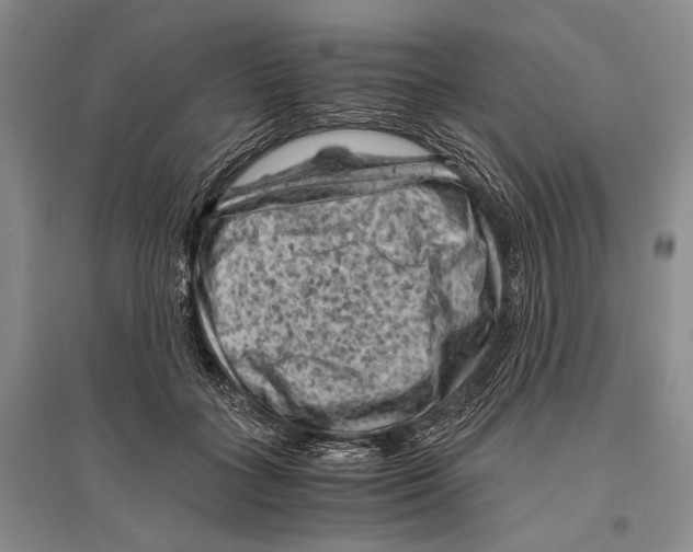 X0000096440555200802211213