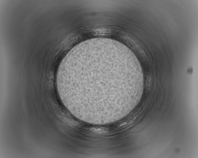 X0000096440557200802211213