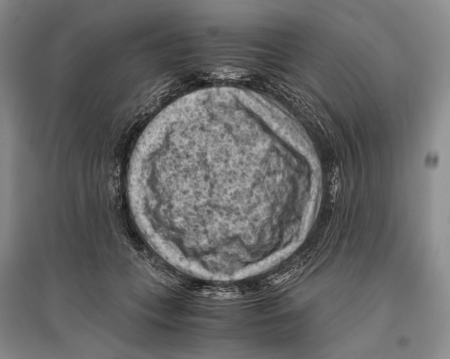 X0000096440559200802211213