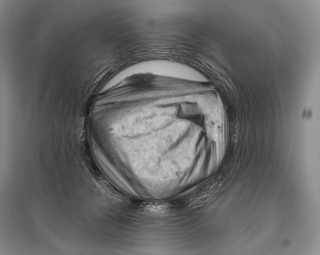 X0000096440560200802211213