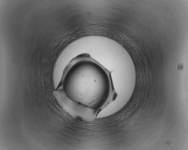 X0000096440562200802211213