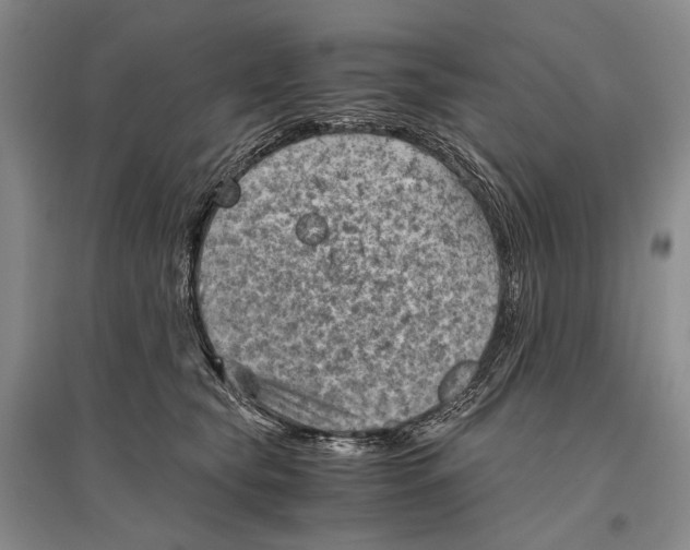 X0000096440565200802211213