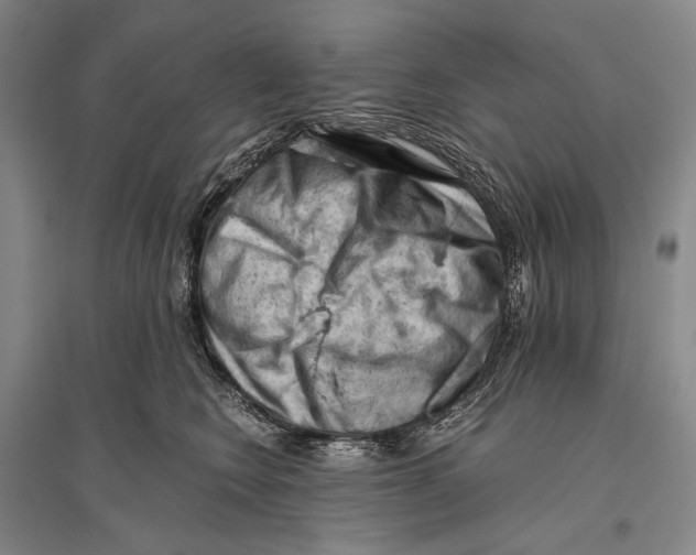 X0000096440566200802211213