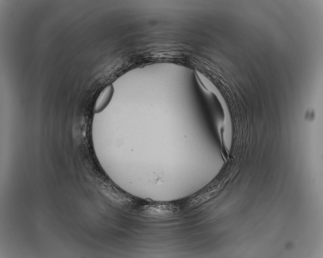 X0000096440567200802211213