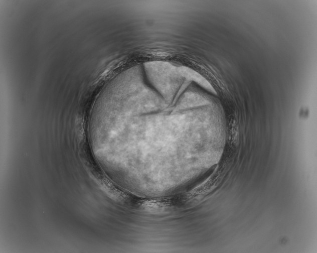 X0000096440568200802211213