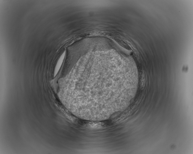 X0000096440569200802211213