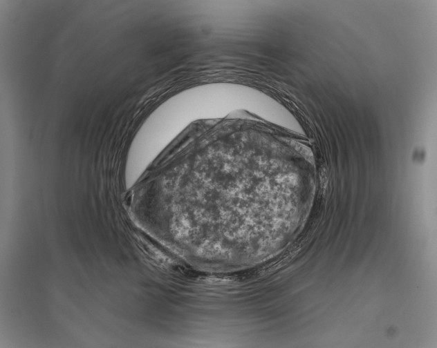 X0000096440570200802211213