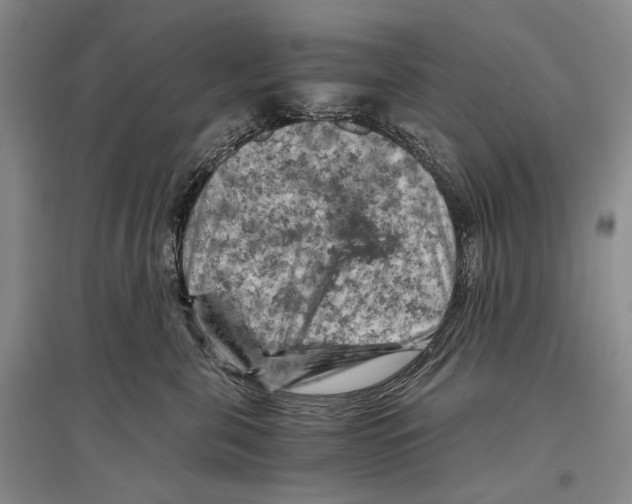 X0000096440571200802211213