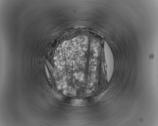 X0000096440575200802211213