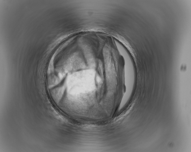 X0000096440577200802211213