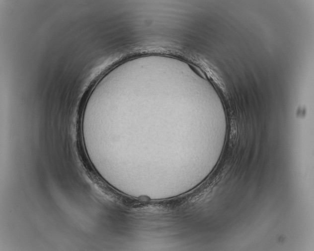 X0000096440578200802211213