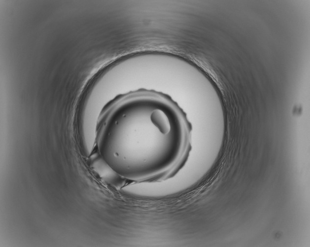 X0000096440579200802211213