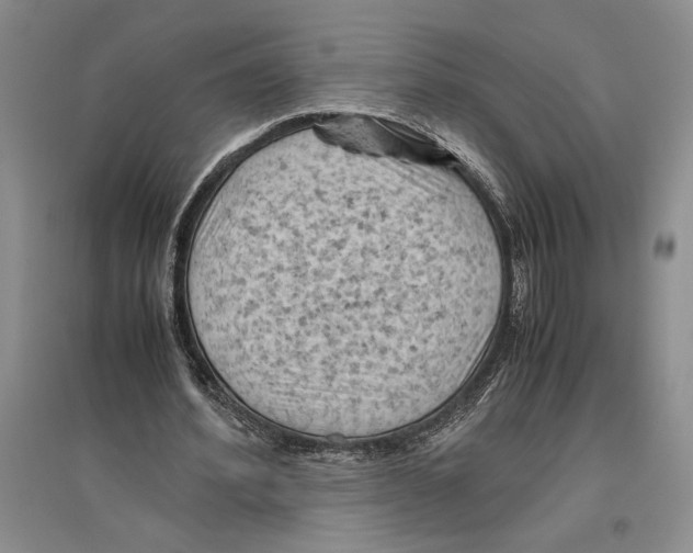 X0000096440580200802211212