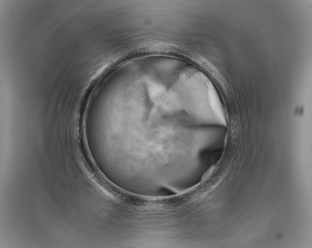 X0000096440581200802211212