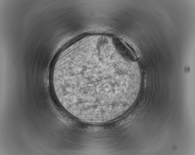 X0000096440582200802211212